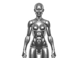 Vitruvian H.A.C.K.S. Female Figure Blank (Chrome) *Dented Box*