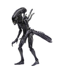 Alien vs. Predator: Requiem Alien Warrior 1:18 Scale PX Previews Exclusive Figure