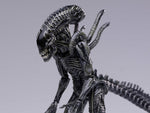 Alien vs. Predator: Requiem Alien Warrior 1:18 Scale PX Previews Exclusive Figure