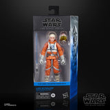 Star Wars: The Black Series 6" Luke Skywalker (Snowspeeder)